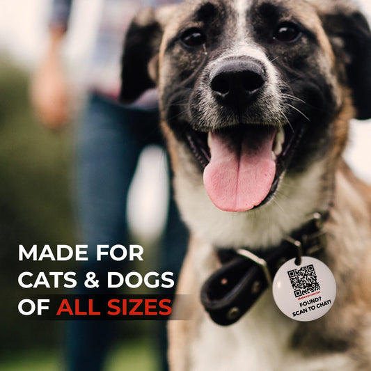 FindZ Smart QR Pet Tag