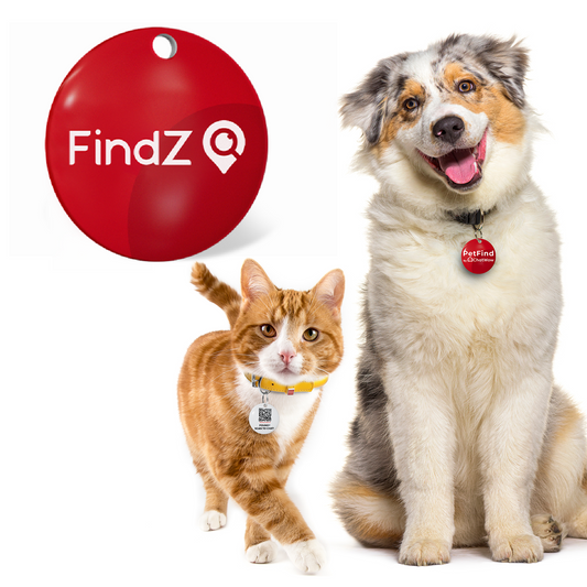 FindZ Smart QR Pet Tag