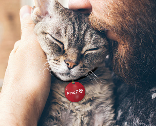 FindZ Smart QR Pet Tag