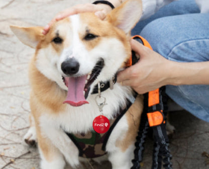 FindZ Smart QR Pet Tag