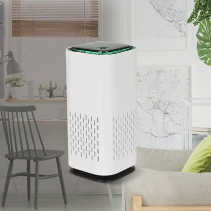 Blast Charcoal Air Cleaner