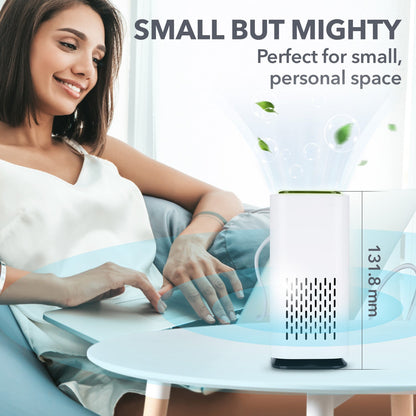 Blast Charcoal Air Cleaner